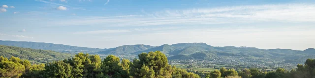 Apéro perché Youpi Tours au domaine La Fille des Vignes