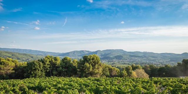 Apéro perché Youpi Tours au domaine La Fille des Vignes