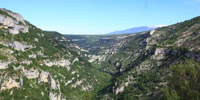 Les Gorges de la Nesque