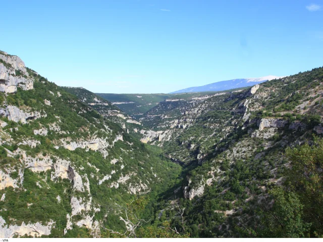 Les Gorges de la Nesque