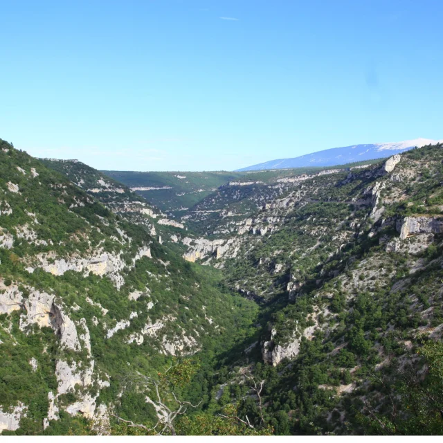 Les Gorges de la Nesque