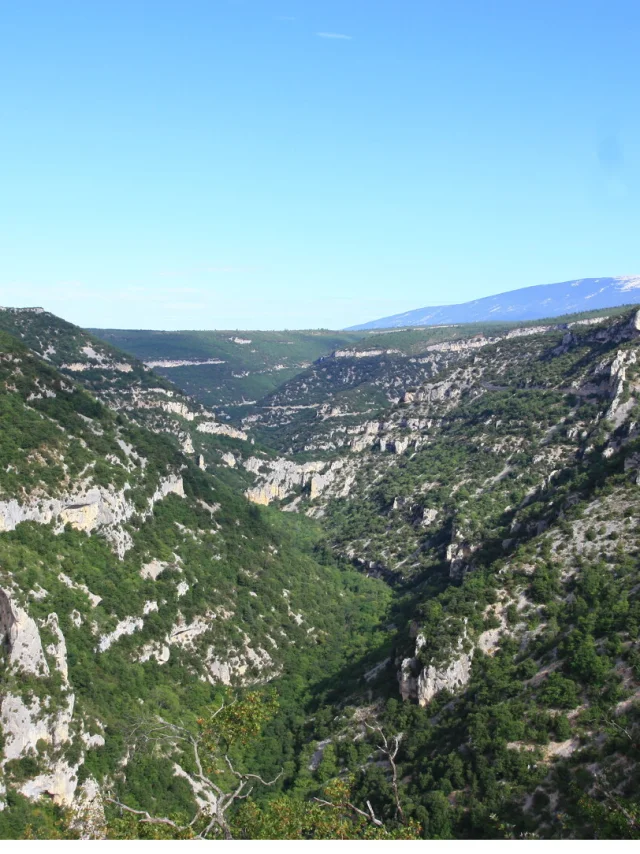 Les Gorges de la Nesque