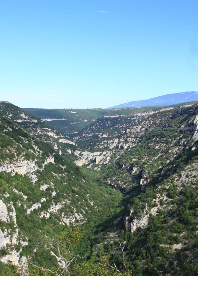 Les Gorges de la Nesque