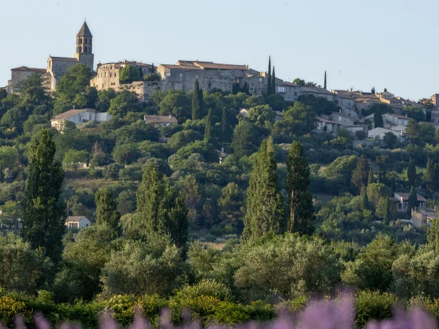 Drôme Provençale