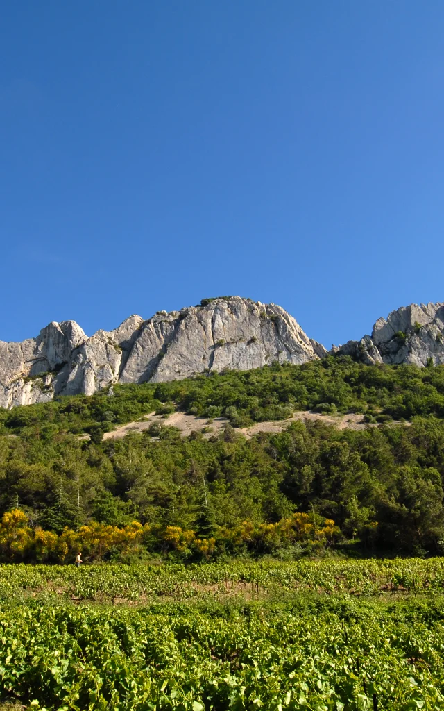 Dentelles 5504@philippeabel