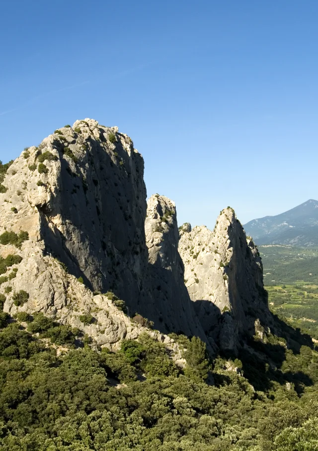 Dentelles 5560@philippeabel