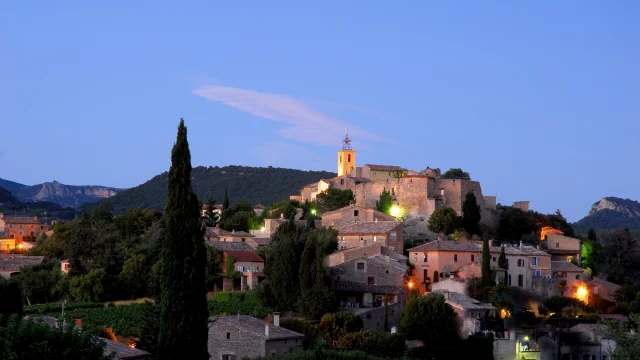 Faucon en soirée