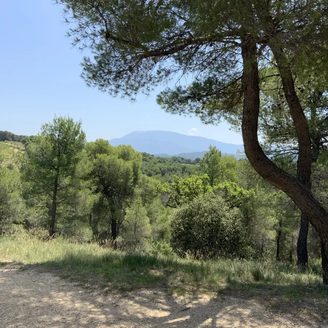 Vaison-la-Romaine