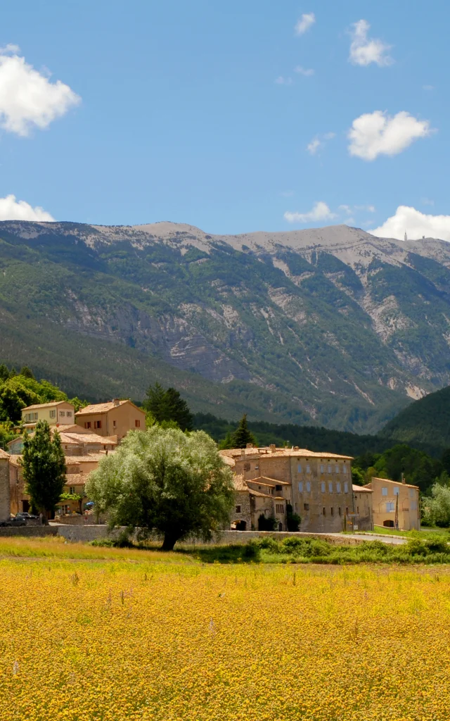 Dorp Savoillans met de Mont Ventoux op de achtergrond