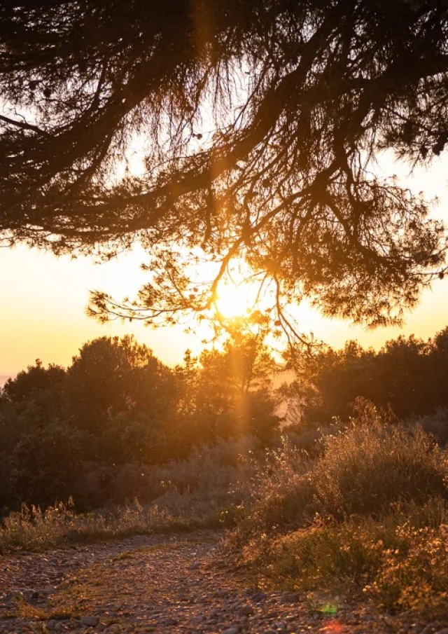 Vaison Ventoux Provence coucher de soleil