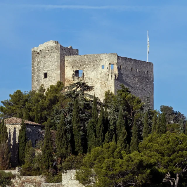 Château comtal de Vaison-la-Romaine