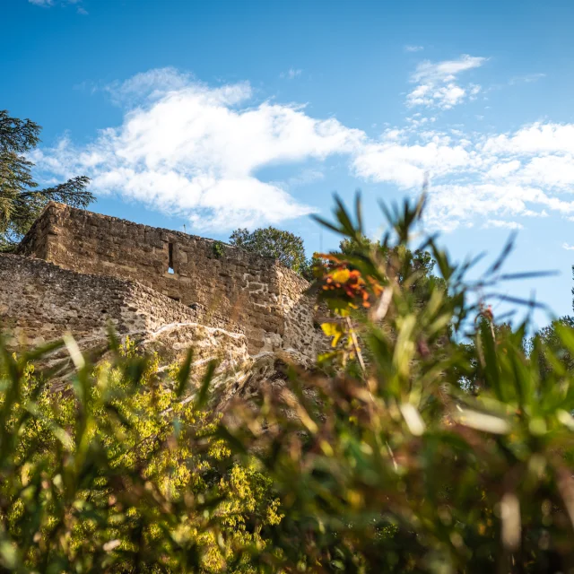 Ruin in the village of Puyméras