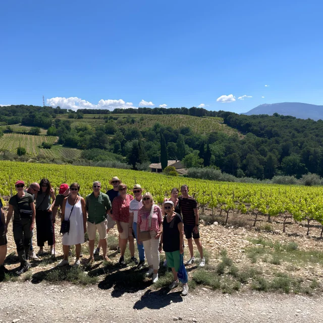 Balade au cœur du vignoble de Vaison-la-Romaine