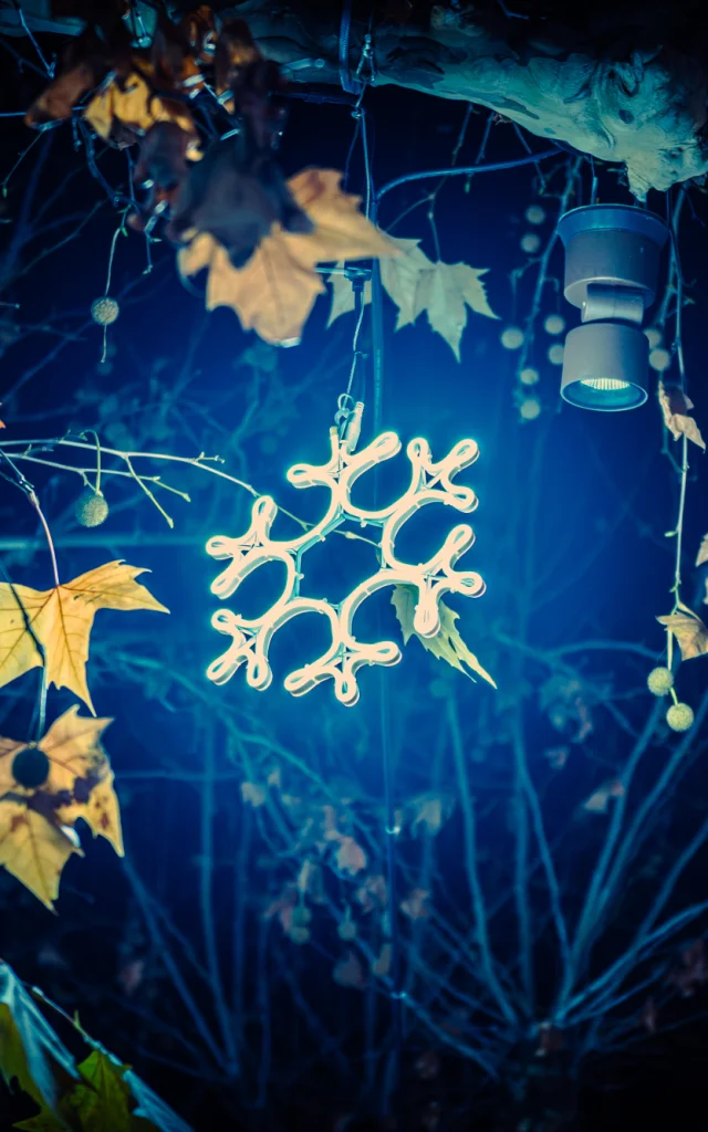 Weihnachten in Vaison Ventoux Provence - Buisson