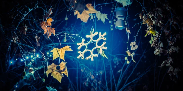 Noël en Vaison Ventoux Provence - Buisson