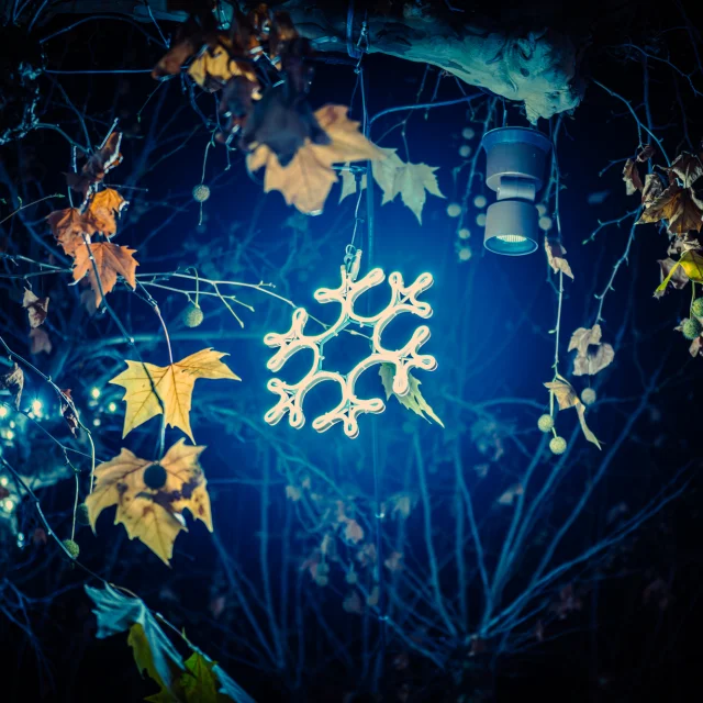 Noël en Vaison Ventoux Provence - Buisson