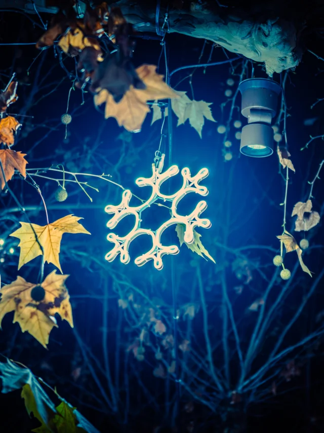 Noël en Vaison Ventoux Provence - Buisson