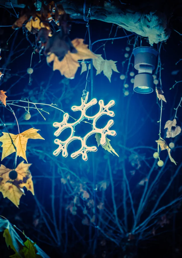 Noël en Vaison Ventoux Provence - Buisson