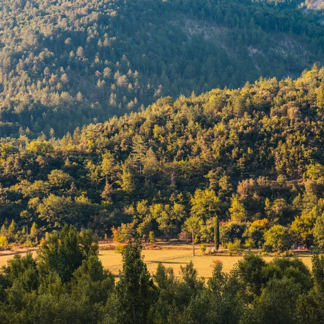 The Toulourenc valley at Aube