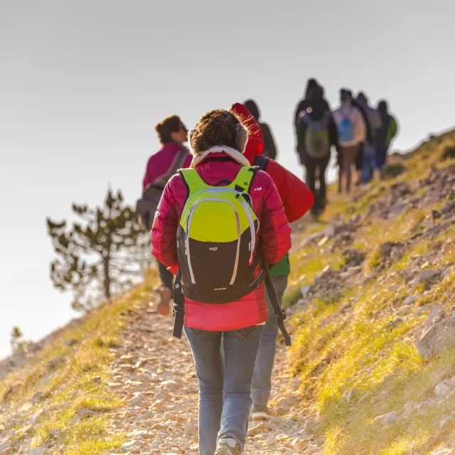 Wanderung zum Sonnenaufgang auf dem Gipfel des Mont Ventoux