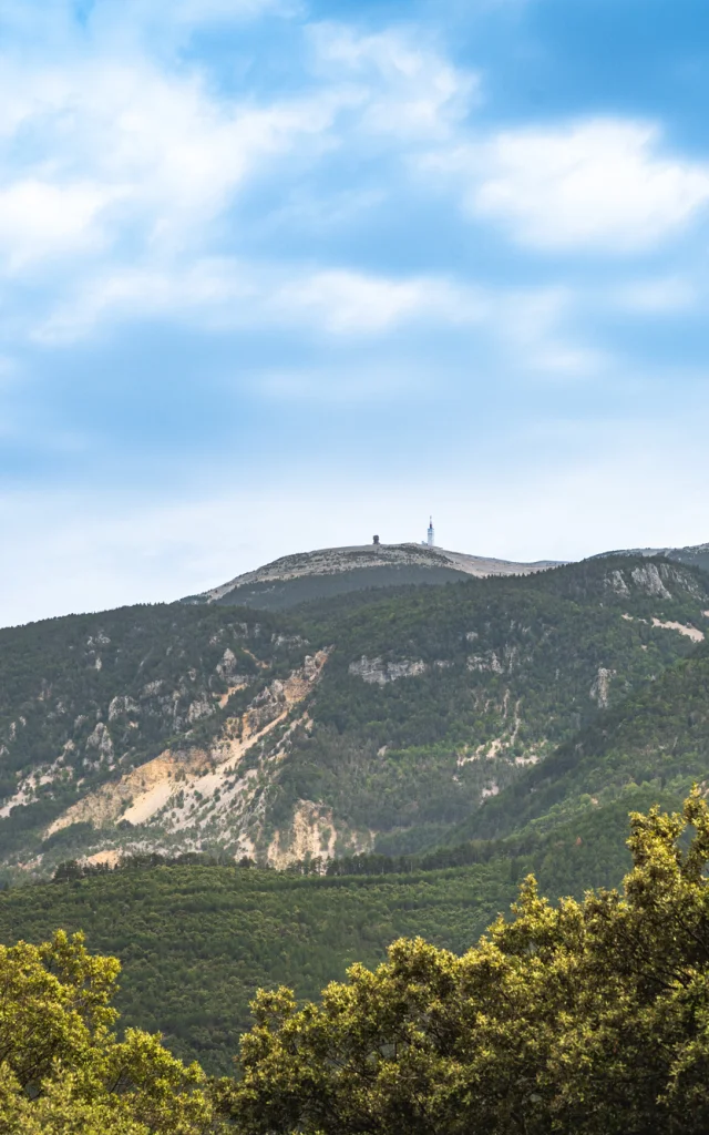 View of the northern slopes of Mont Ventoux