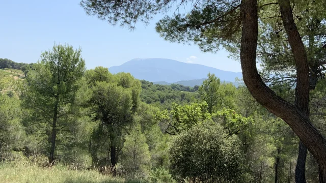 Vaison-la-Romaine