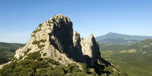 Dentelles 5560@philippeabel